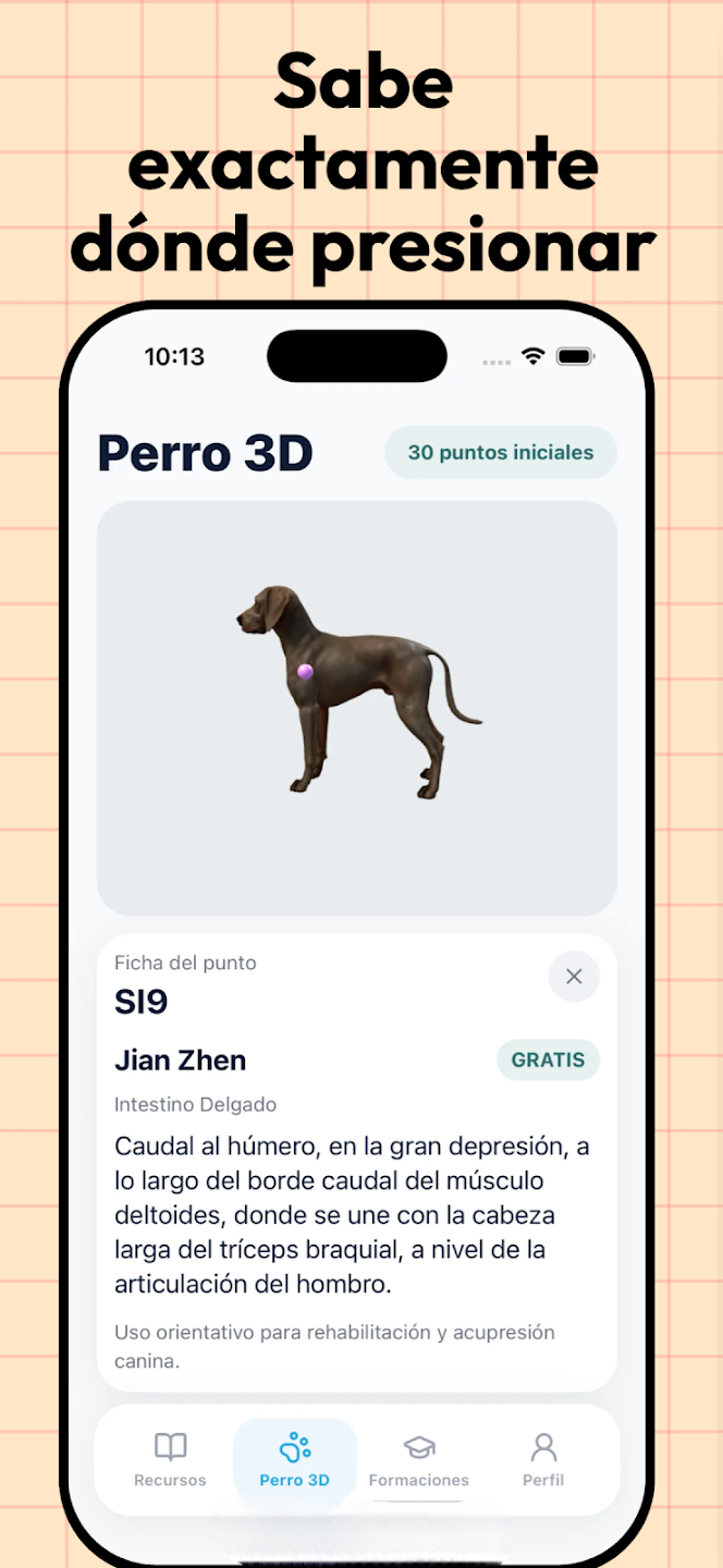 Mapa de puntos Perro 3D de Rehabilit Pet
