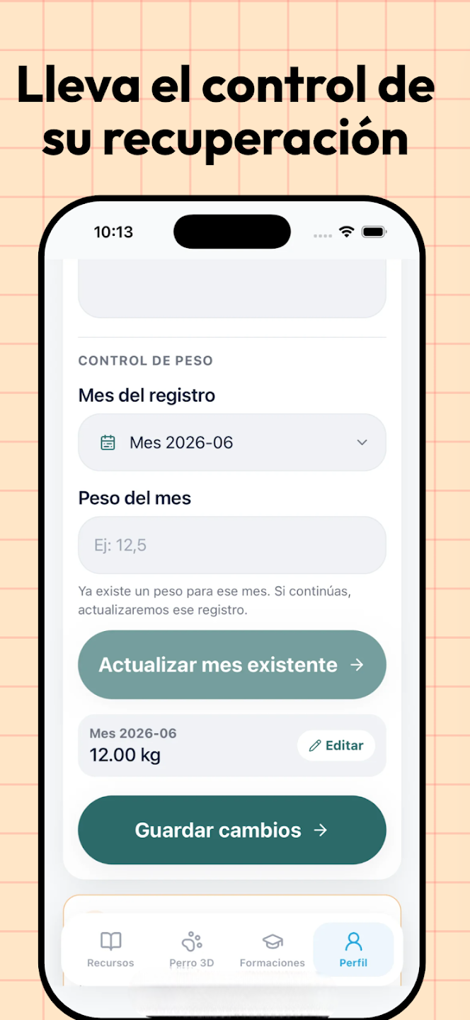 Seguimiento de recuperación en Rehabilit Pet